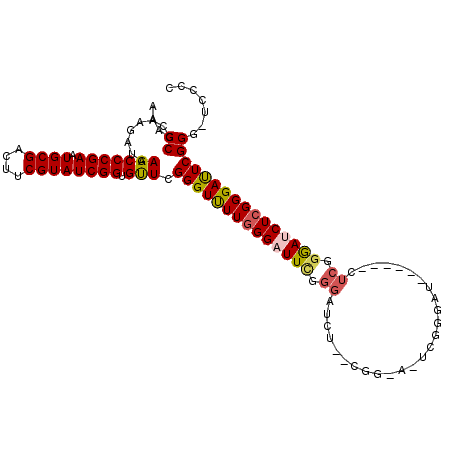 secondary structure