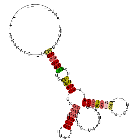 secondary structure