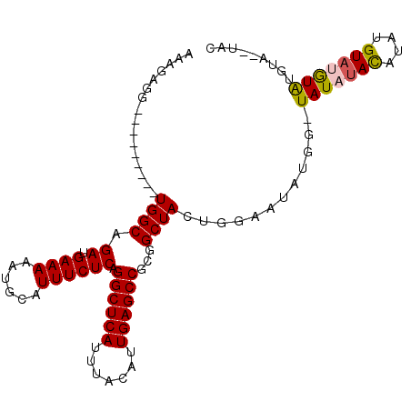 secondary structure