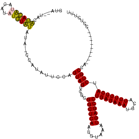 secondary structure