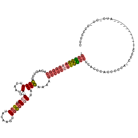 secondary structure
