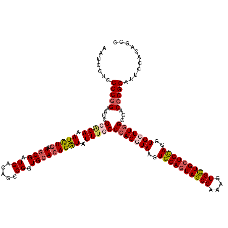 secondary structure