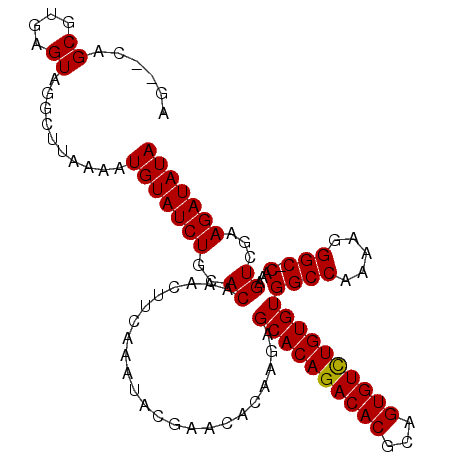 secondary structure