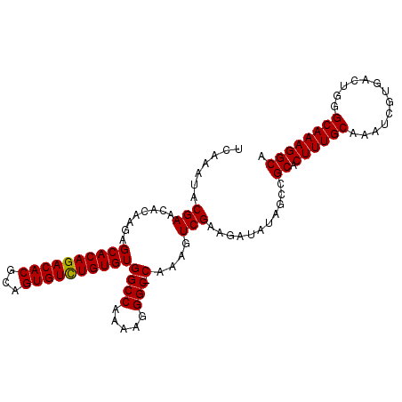 secondary structure