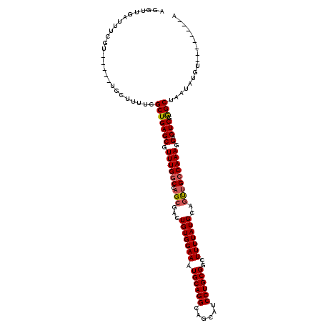 secondary structure