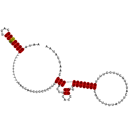 secondary structure