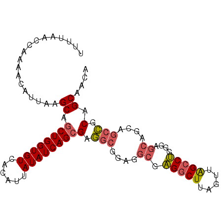 secondary structure