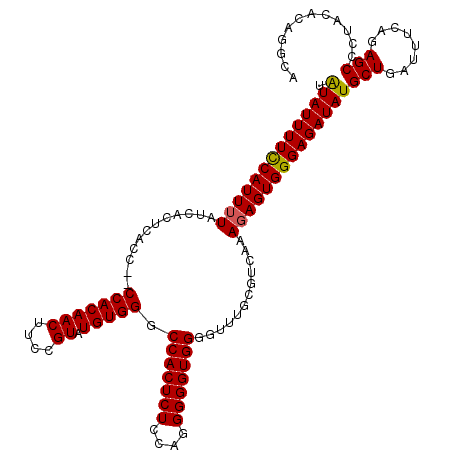 secondary structure