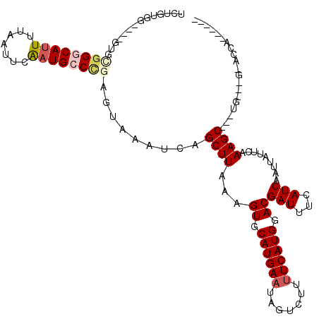 secondary structure