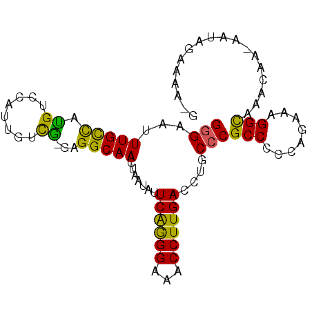 secondary structure