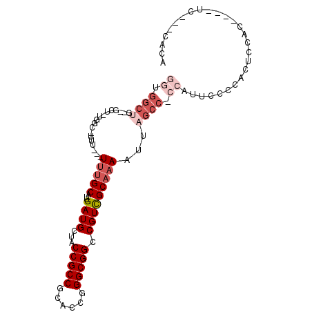 secondary structure