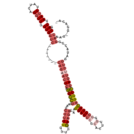 secondary structure