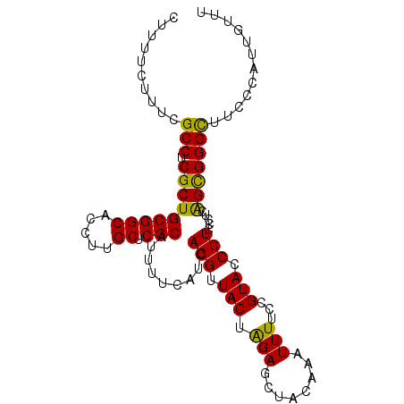 secondary structure