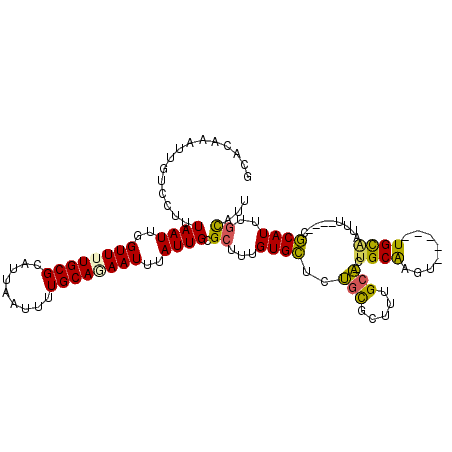 secondary structure