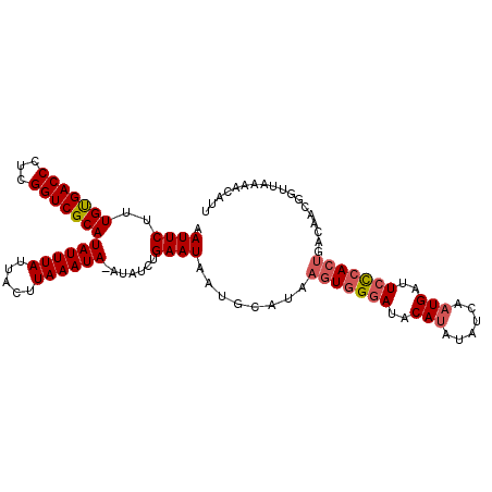 secondary structure