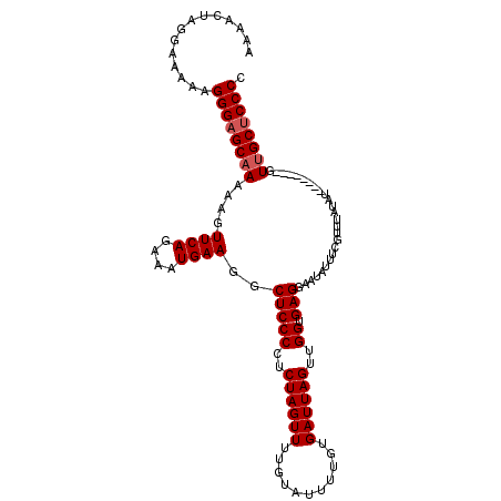 secondary structure