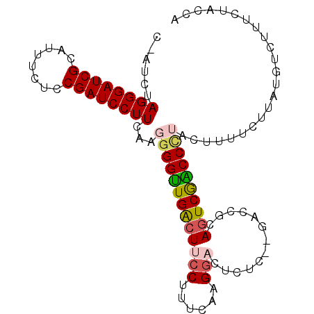 secondary structure