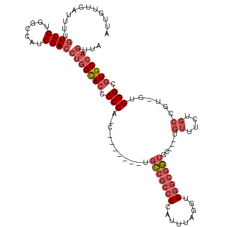 secondary structure