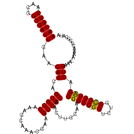 secondary structure