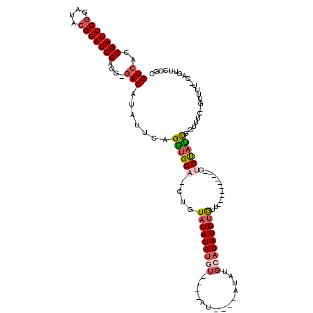 secondary structure