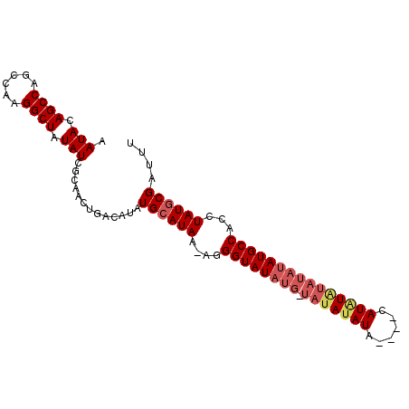 secondary structure