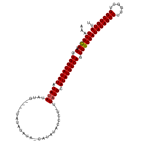 secondary structure