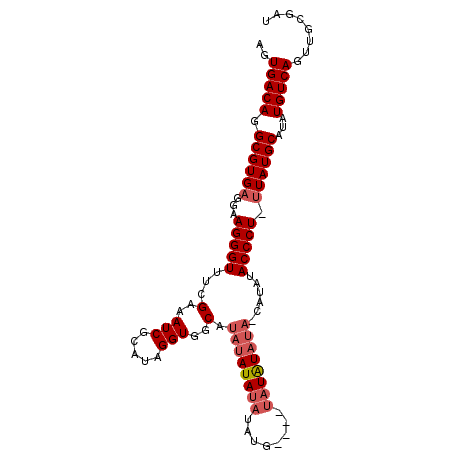secondary structure
