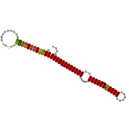 secondary structure