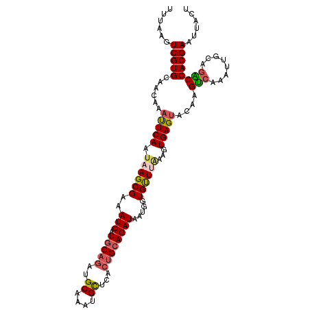 secondary structure