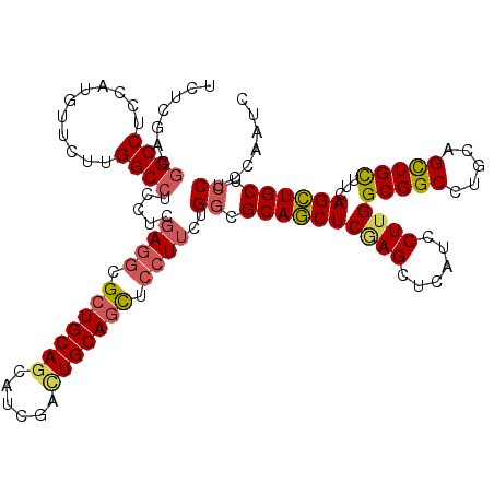 secondary structure