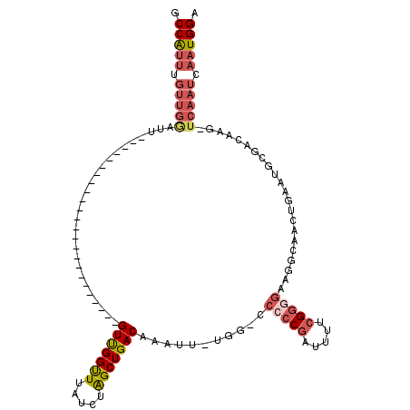 secondary structure