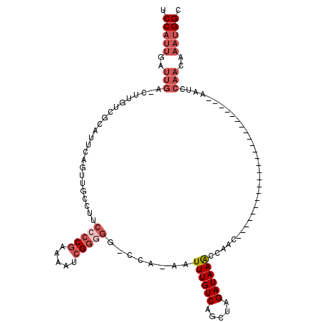 secondary structure