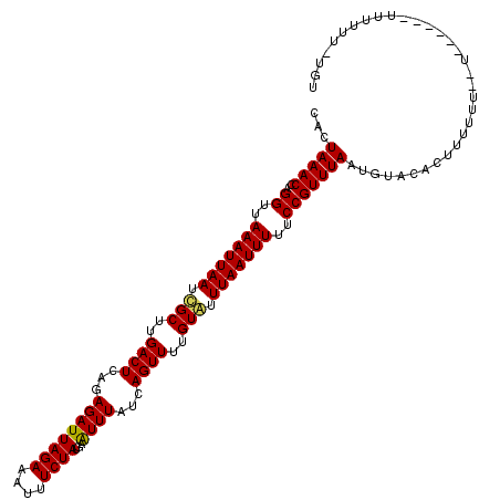 secondary structure
