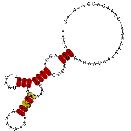 secondary structure