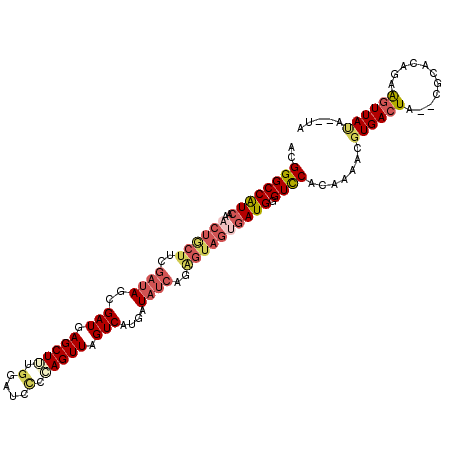 secondary structure