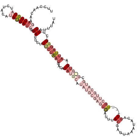 secondary structure