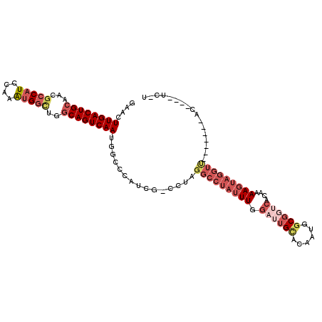 secondary structure