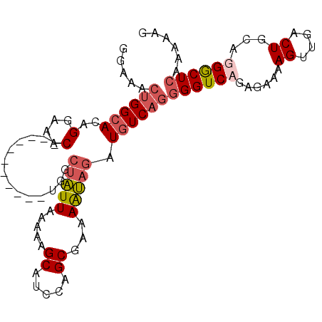secondary structure