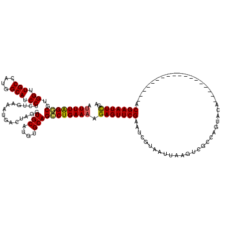 secondary structure