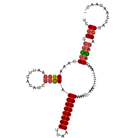 secondary structure