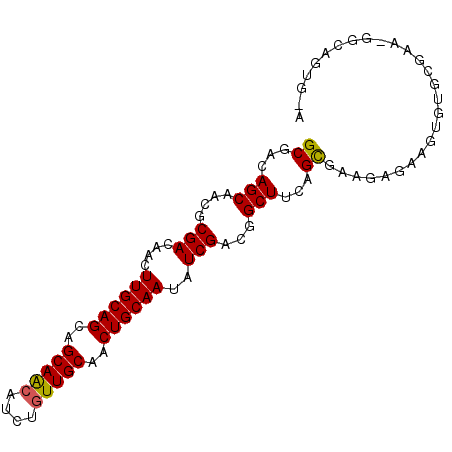 secondary structure