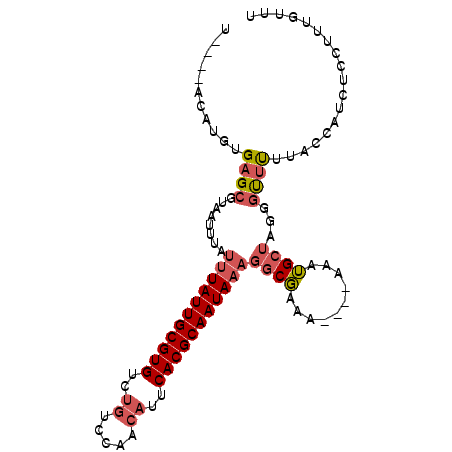 secondary structure