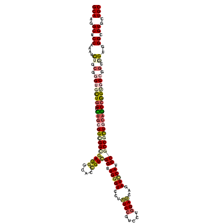 secondary structure