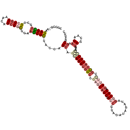 secondary structure