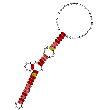 secondary structure