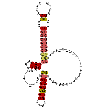 secondary structure