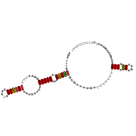 secondary structure