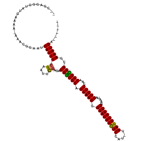secondary structure
