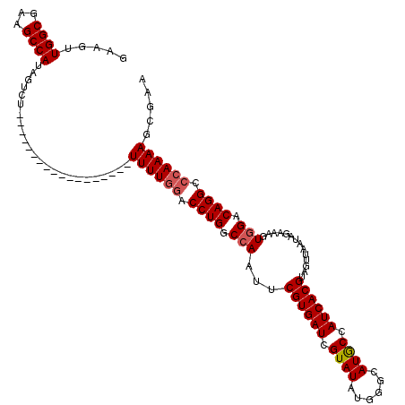 secondary structure