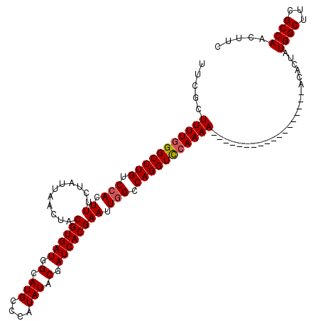 secondary structure